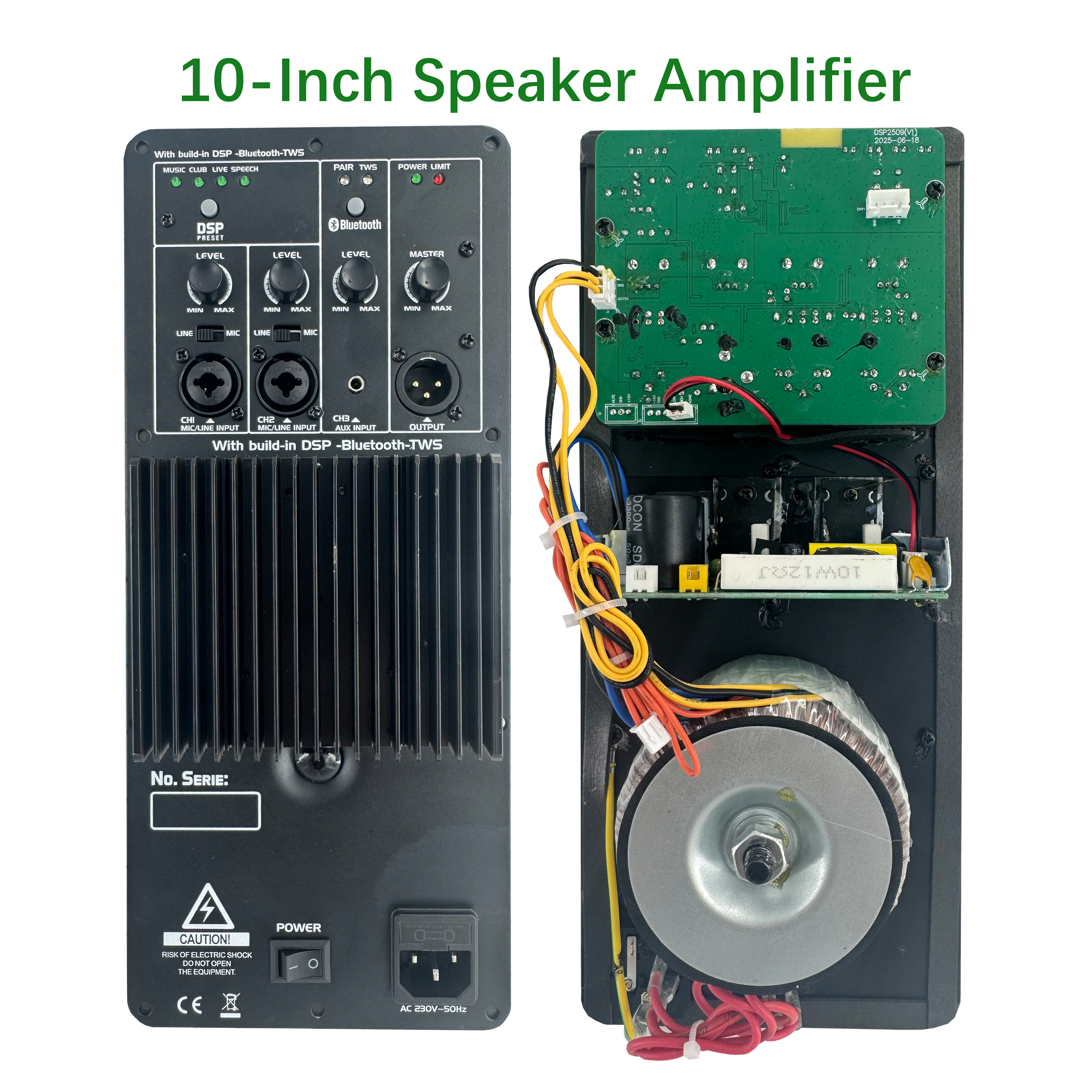 DSP2509 High Cost-performance Multi-function Class AB Amplifier with DSP
