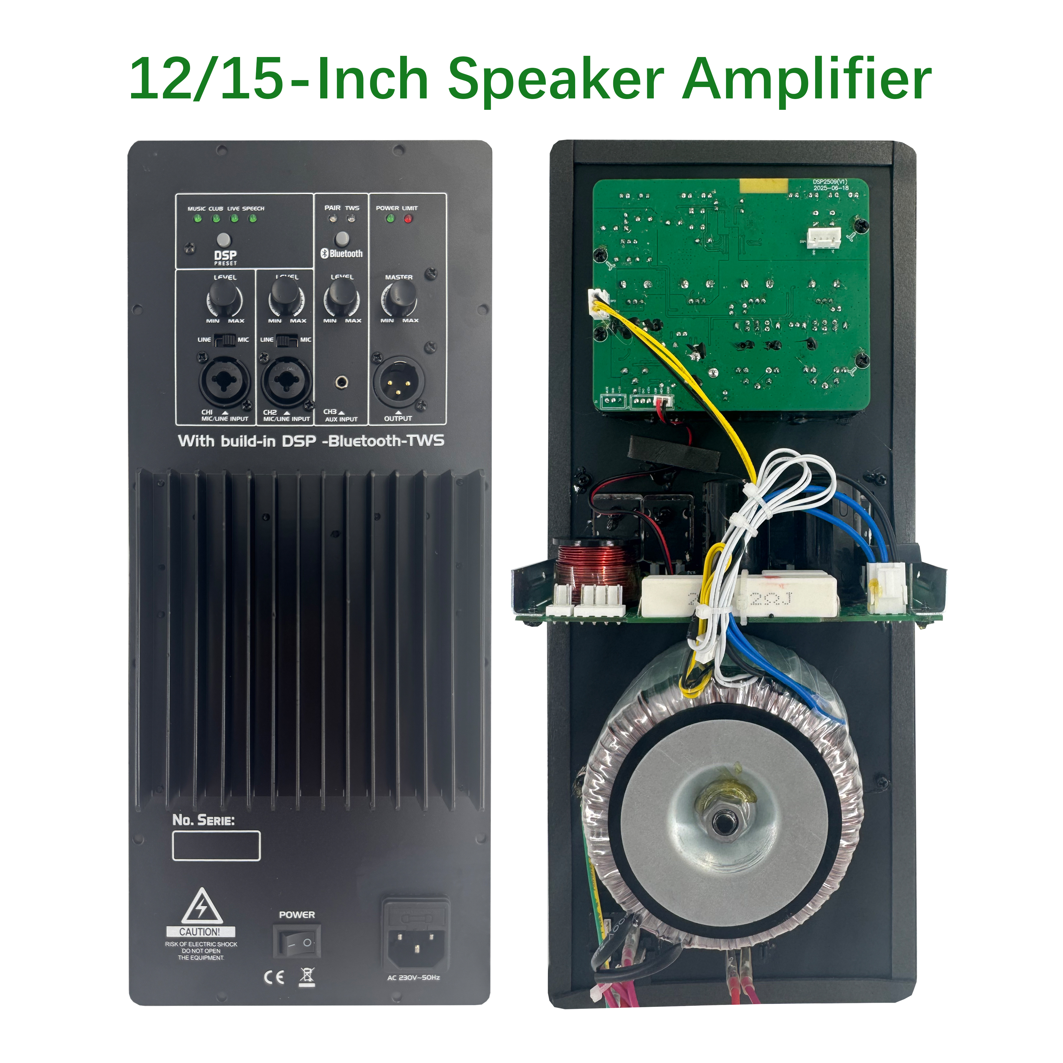 DSP2509 High Cost-performance Multi-function Class AB Amplifier with DSP