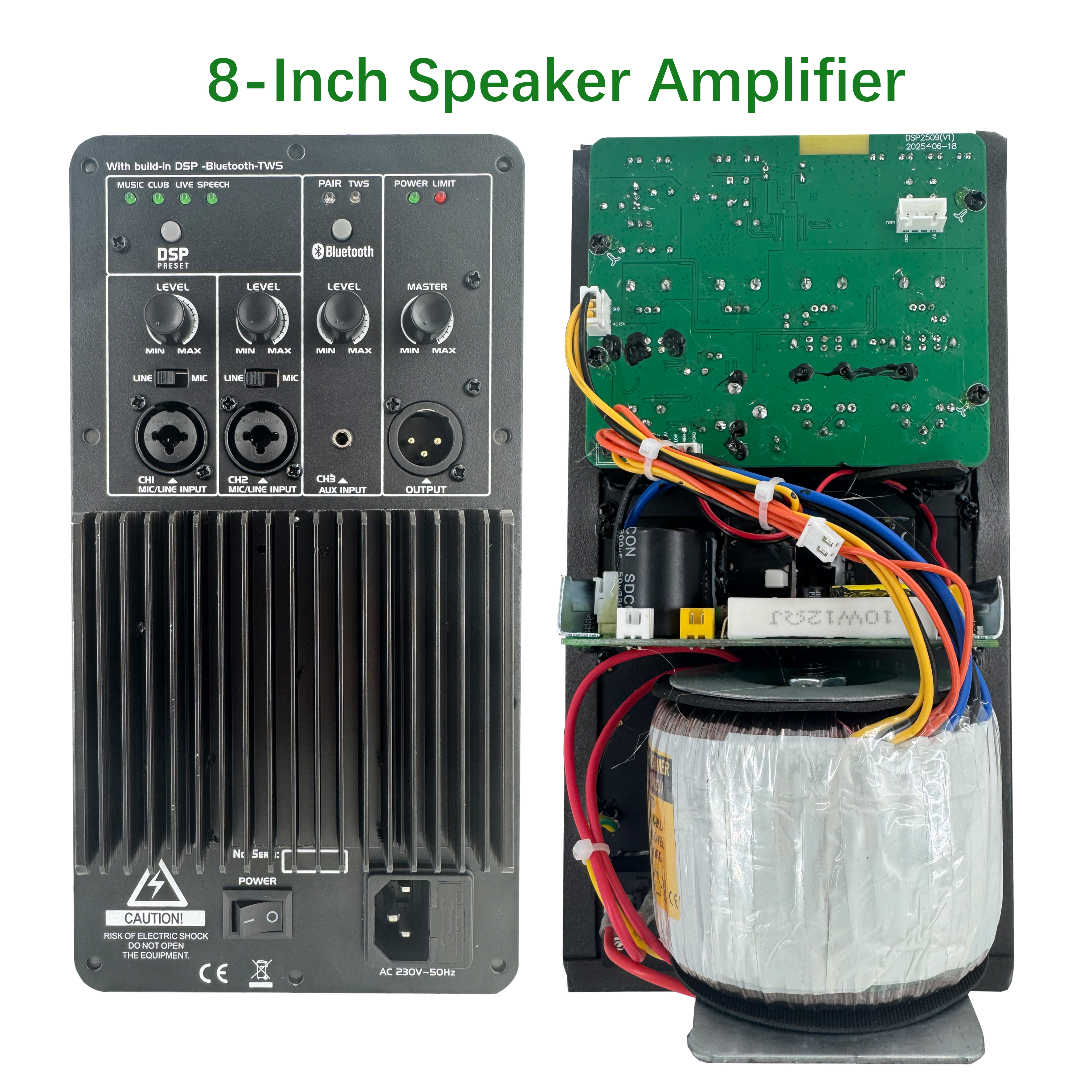 DSP2509 High Cost-performance Multi-function Class AB Amplifier with DSP