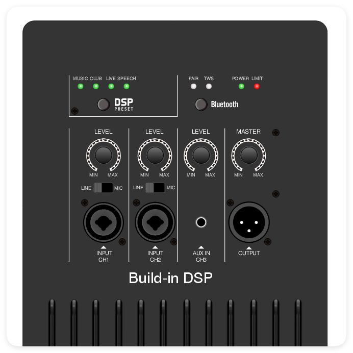 DSP2509 High Cost-performance Multi-function Class AB Amplifier with DSP